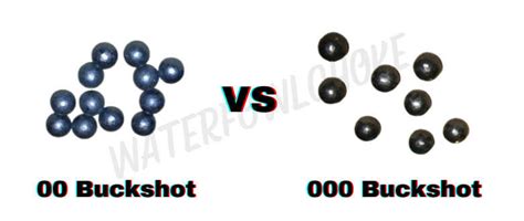 00 vs. 000 Buckshot: Which is better for hunting? - WaterfowlChoke