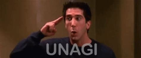 Unagi Ross Geller