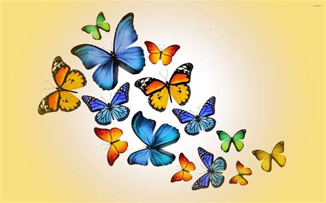 Hình nền Hoa bươm bướm dễ thương - Top Những Hình Ảnh Đẹp