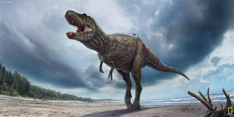 Gorgosaurus | Paleontology World