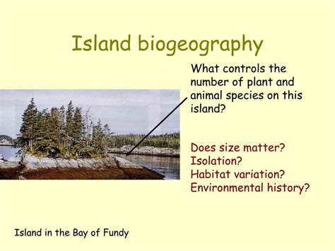 PPT - Island biogeography PowerPoint Presentation, free download - ID:79987