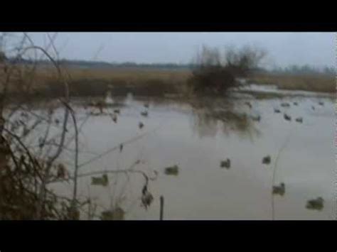 DUCK HUNTING 101 DECOY SET UP AND PLACEMENT - YouTube