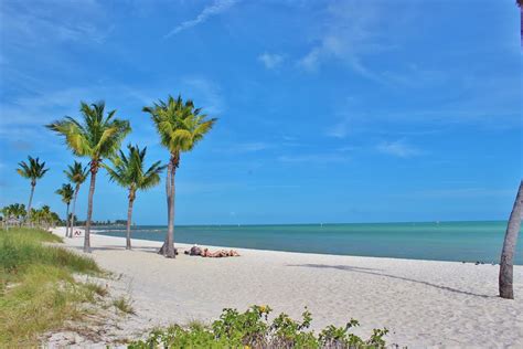 Palm Trees, Florida, Ocean, Key, West, palm tree, beach free image | Peakpx