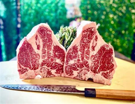 Snake River Farms - A Cut Above The Rest (Wagyu, Briskets, Location ...