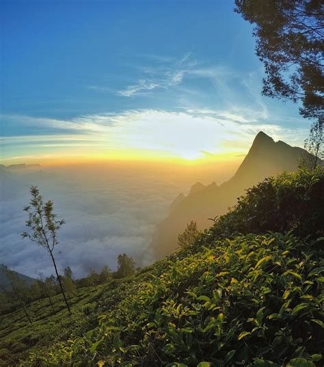 Story of the Munnar Sunrise at Kolukkumalai Tea Estate - Luxury Resort Munnar. Best guest ...