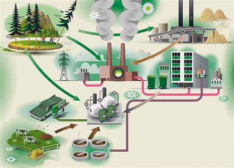 Biomass Fuel Infographic – World Illustration Awards – The AOI