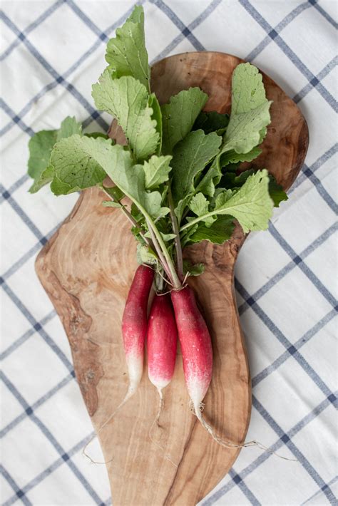 French Breakfast Radish | French breakfast radish, Food photography, French breakfast