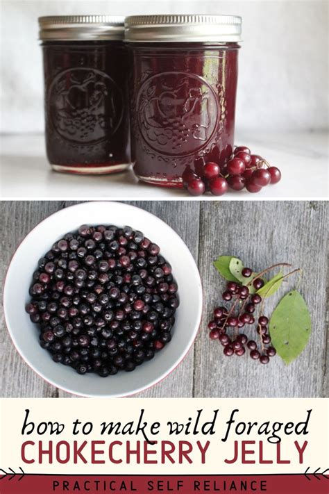 Chokecherry Jelly (and Jam!) | Recipe | Chokecherry jelly, Chokecherry ...