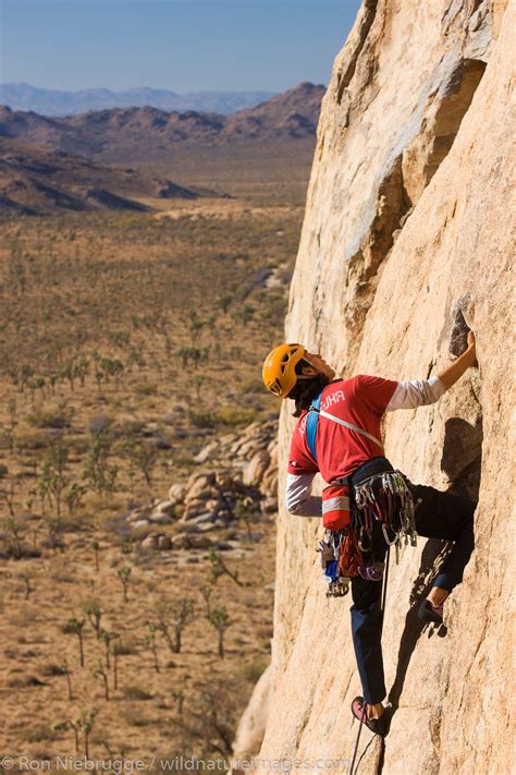 Rock Climbing, Joshua Tree National Park | Photos by Ron Niebrugge