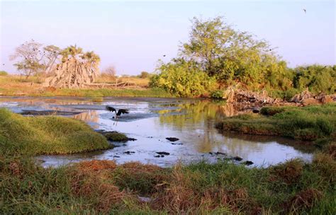 PICS: Yemen war turns Al-Heswa nature reserve into waste dump