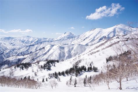 Snowshoe in One of the Snowiest Places in Japan | National Parks of Japan