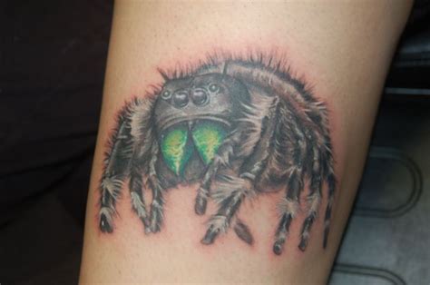 Bold Jumping Spider by Ben Rettke : Tattoos