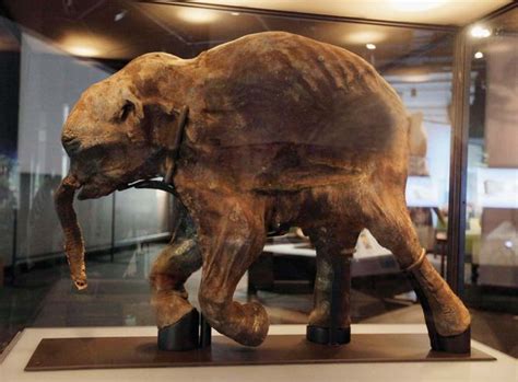 mammoth | Size & Facts | Britannica.com