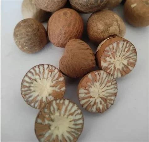 Areca Nut at Rs 150/kg | Areca Nut in Agra | ID: 26890549712