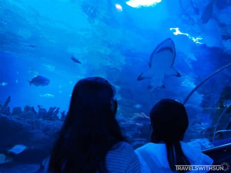 Aquaria KLCC – Oceanarium In The Middle Of Kuala Lumpur!