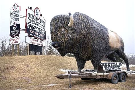 Northlandia: How Buffalo House got its name - Duluth News Tribune | News, weather, and sports ...