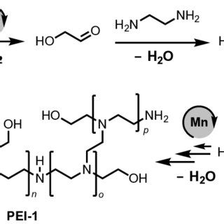 Proposed pathway for the synthesis of branched polyethyleneimines from... | Download Scientific ...