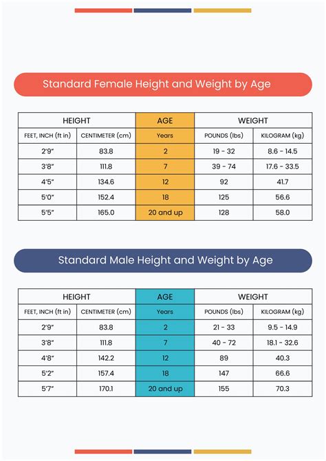 Standard Height And Weight Conversion Chart in Illustrator, PDF ...