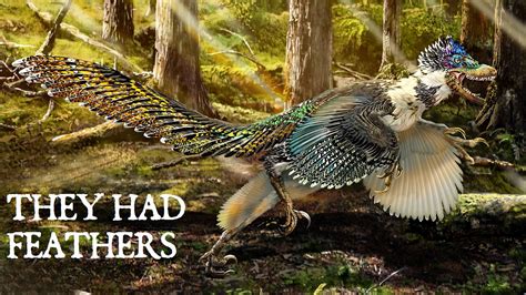 They Had Feathers: Is the World Ready to See Dinosaurs as They Really ...