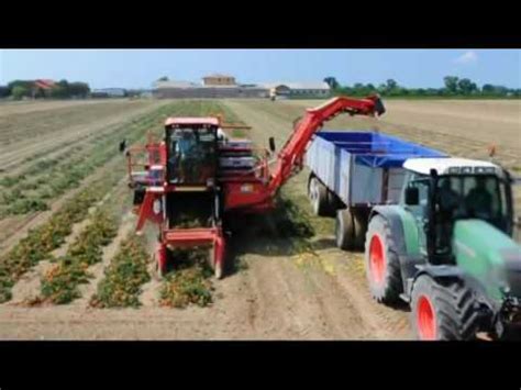 Tomato harvesting machine are awesome 2016! New video modern tomato ...