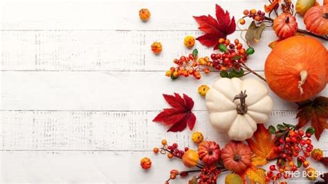 35 Autumnal Zoom Backgrounds for Thanksgiving - The Bash