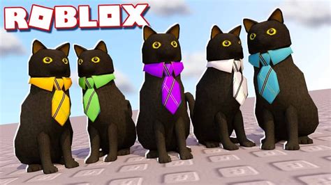 Roblox cat decal - roguejmk