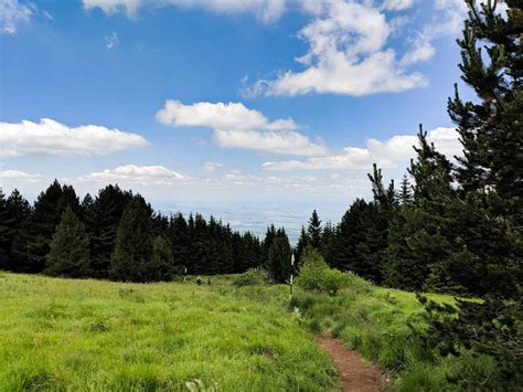 Hiking Vitosha Mountain from Sofia - Where Food Takes Us