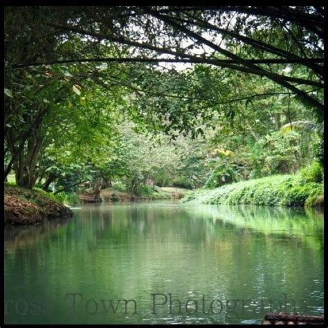 Martha Brae River, Jamaica | Dream vacation spots, Beautiful places ...