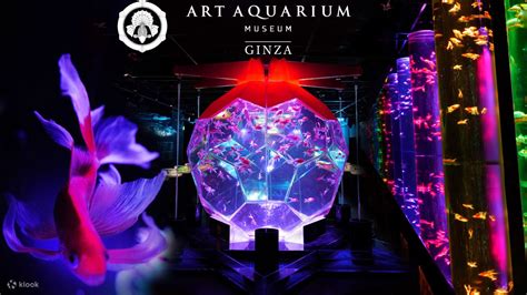 Art Aquarium Museum GINZA Admission Ticket - Klook United States