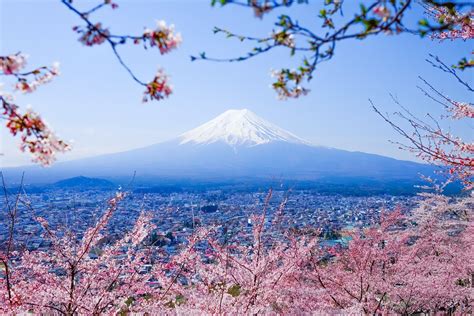 Mt. Fuji - Trip To Japan