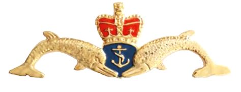 Royal Navy RN Submarine Service Cut-Out Dolphins Large Pin Badge - MOD ...