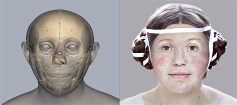 Decoding Archaeology: Facing our Past with Facial Reconstruction - Dig It!