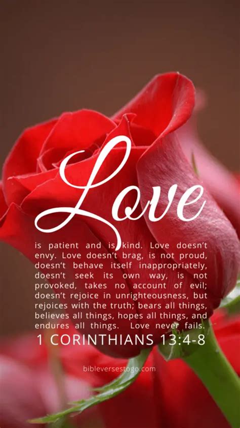 Red Rose 1 Corinthians 13:4-8 – Encouraging Bible Verses