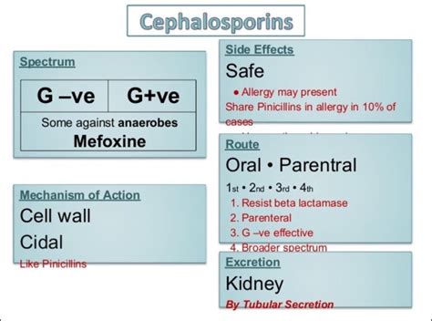 Cephalosporins | Pharmacology, Cell wall, Antibiotic