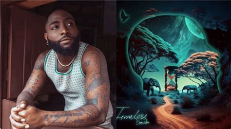 Timeless: I'm Happy That People Accepted It – Davido Speaks On Success ...