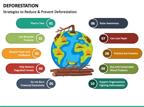 Deforestation Effects Diagram