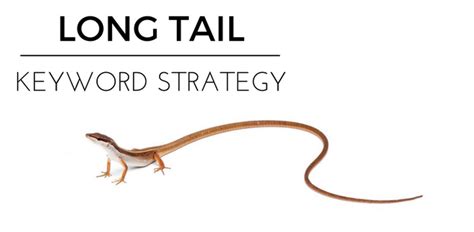 How to Find Long Tail Keywords That Will Bring Tons of Traffic