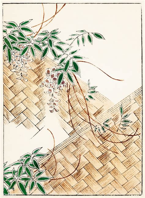 Wisteria illustration from Bijutsu Sekai (1893-1896) by Watanabe Seitei, a prominent Kacho-ga ...