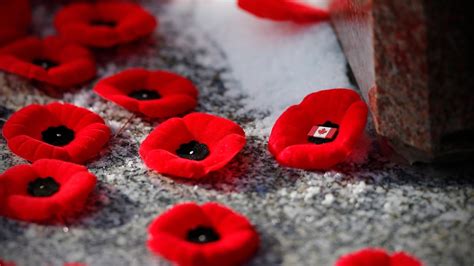 Remembrance Day: How to follow CBC's coverage - Canada - CBC News