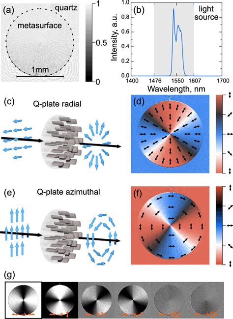 Experimental demonstration of highly efficient q-plates. (a ...