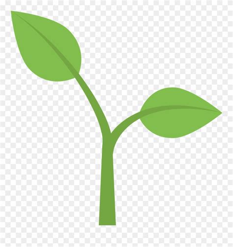 plant stem clipart 10 free Cliparts | Download images on Clipground 2024