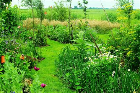 Permaculture Gardening – A Step-by-Step Guide for Beginners