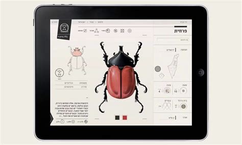 Insect definer on Vimeo 超棒pad 設計 | Information design, Web design ...