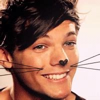 Louis Cat Icons - Louis Tomlinson Icon (31976256) - Fanpop