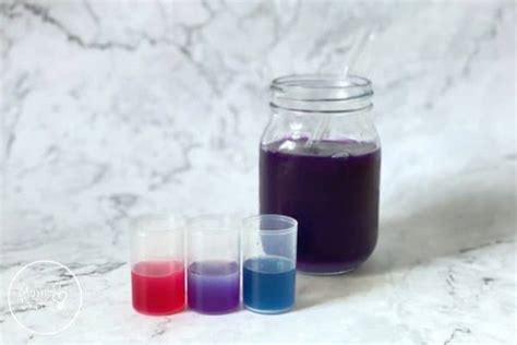 Red Cabbage Indicator Science Experiment | Mombrite