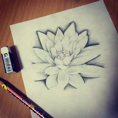 Lotus Pencil art by IRIE ART