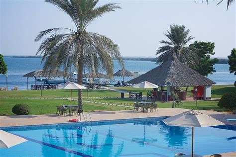 Flamingo Beach Hotel Pool Pictures & Reviews - Tripadvisor