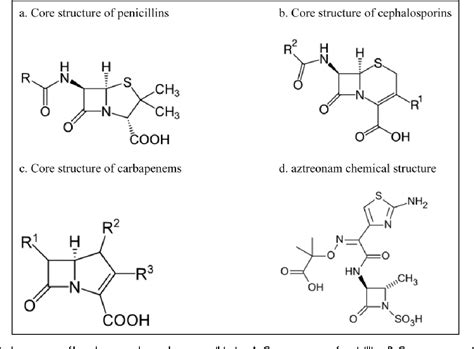 Beta Lactam Cross Reactivity Chart