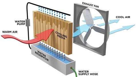 Should I Rent or Buy an Evaporative Cooler - Power Breezer