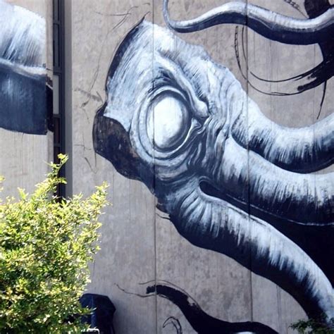 ROA New Street Art – Nelson, New Zealand (Part II) – StreetArtNews